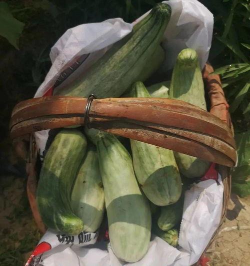 娱乐吃瓜带货,娱乐圈吃瓜达人带你解锁带货新姿势